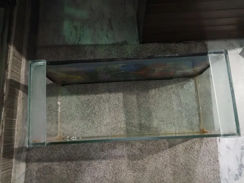 Fish Aquarium — photo 2