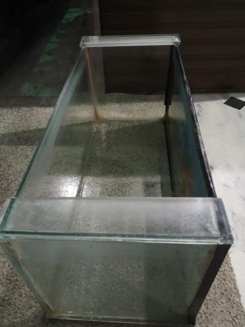 Fish Aquarium — photo 3