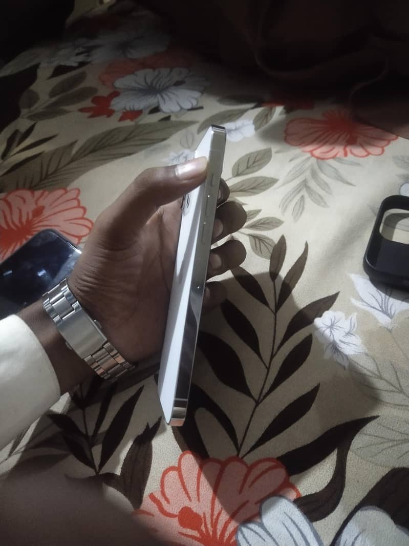Apple iPhone 13 Pro Max 2