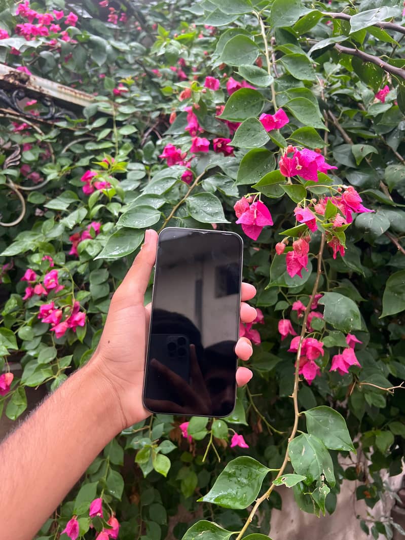 Apple iPhone 13 Pro Max 0