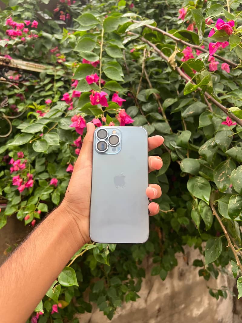 Apple iPhone 13 Pro Max 5