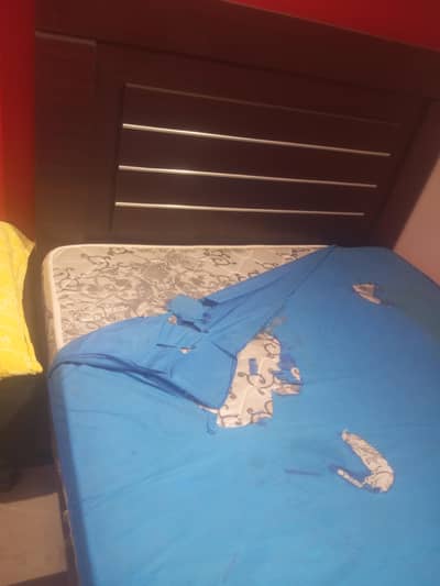 singal bed