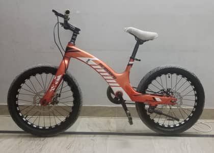 BEIDUOFU bicycle for sale - disk brakes