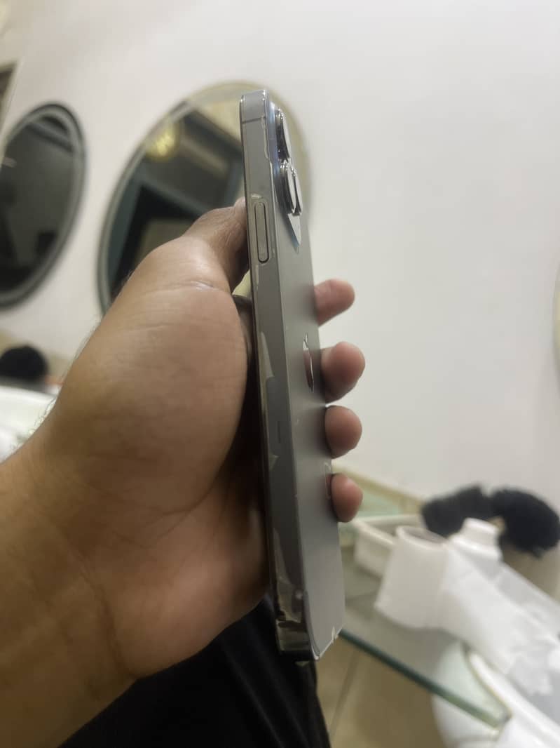 Apple iPhone 13 Pro Max 1