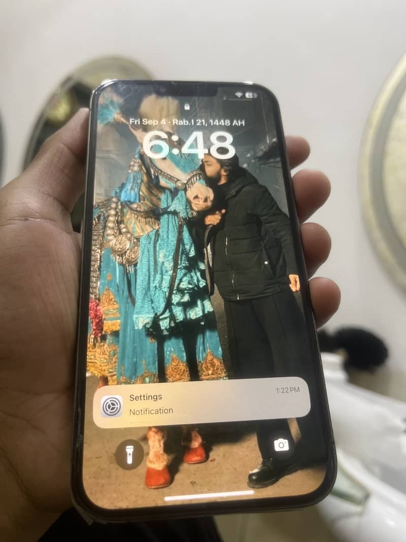 Apple iPhone 13 Pro Max 3