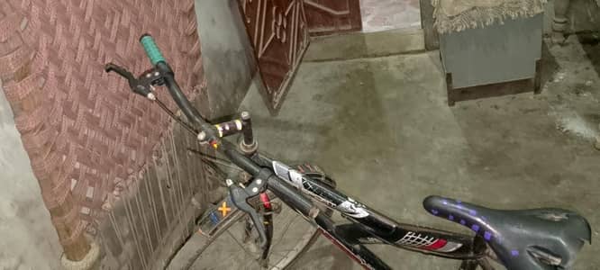 cycle