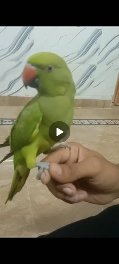 Khalid