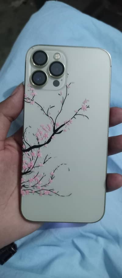 Apple iPhone 12 Pro Max