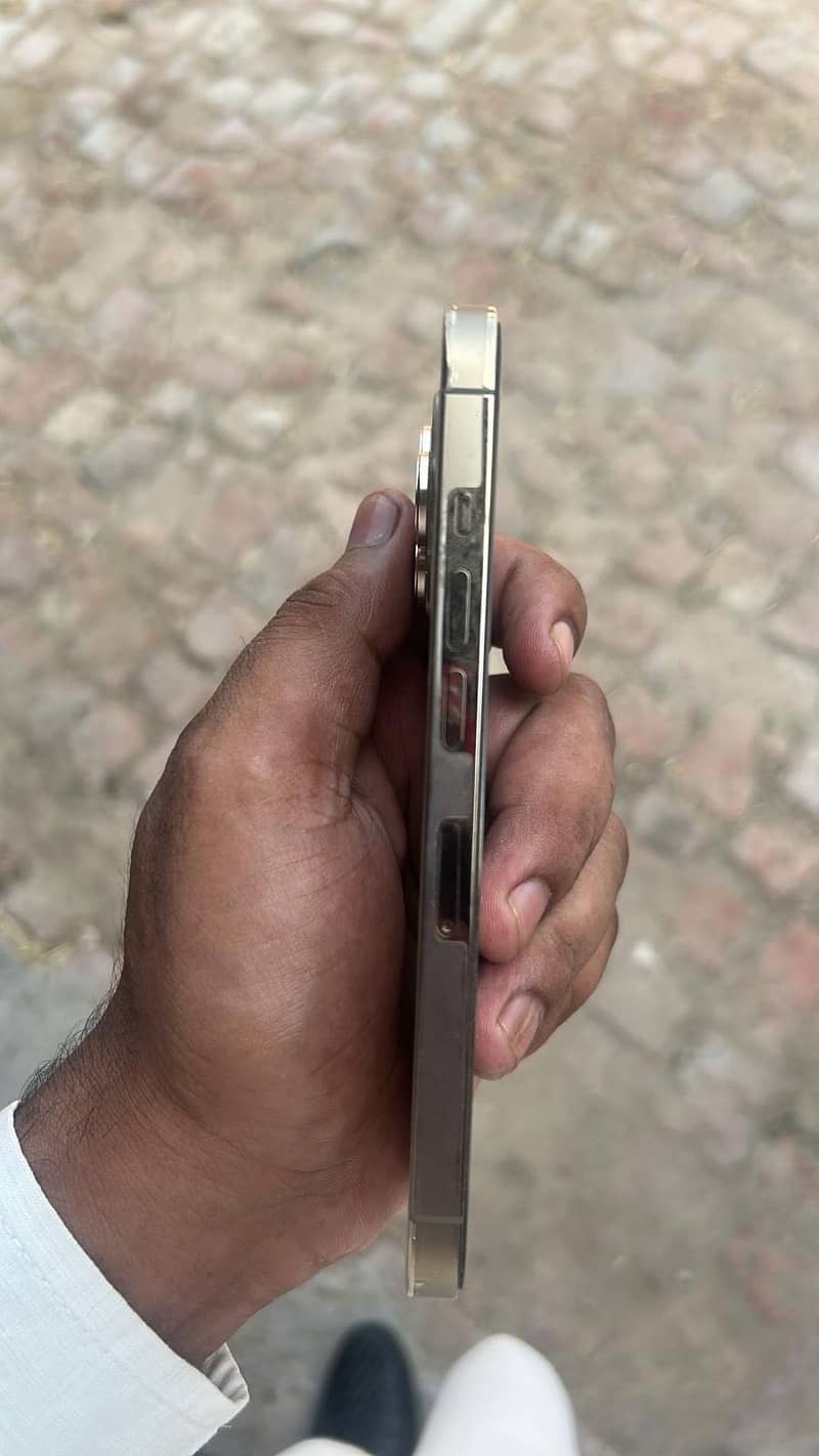 Apple iPhone 13 Pro Max 2