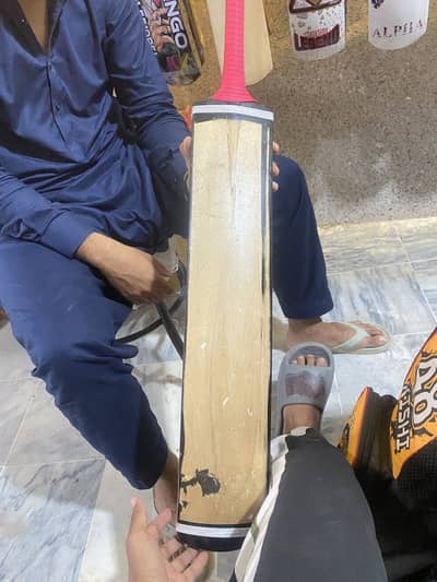 Srilankan coconut bat