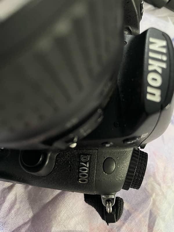 Nikon camera 8