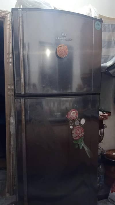 refrigerator and freezer