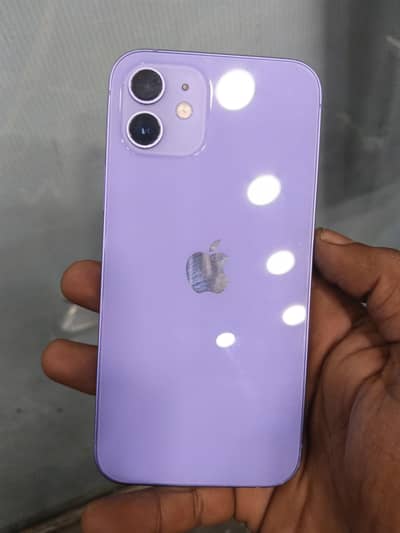 Apple iPhone 12