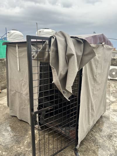 Dog Cage for Sale Strong Build with Tarpal Cover
