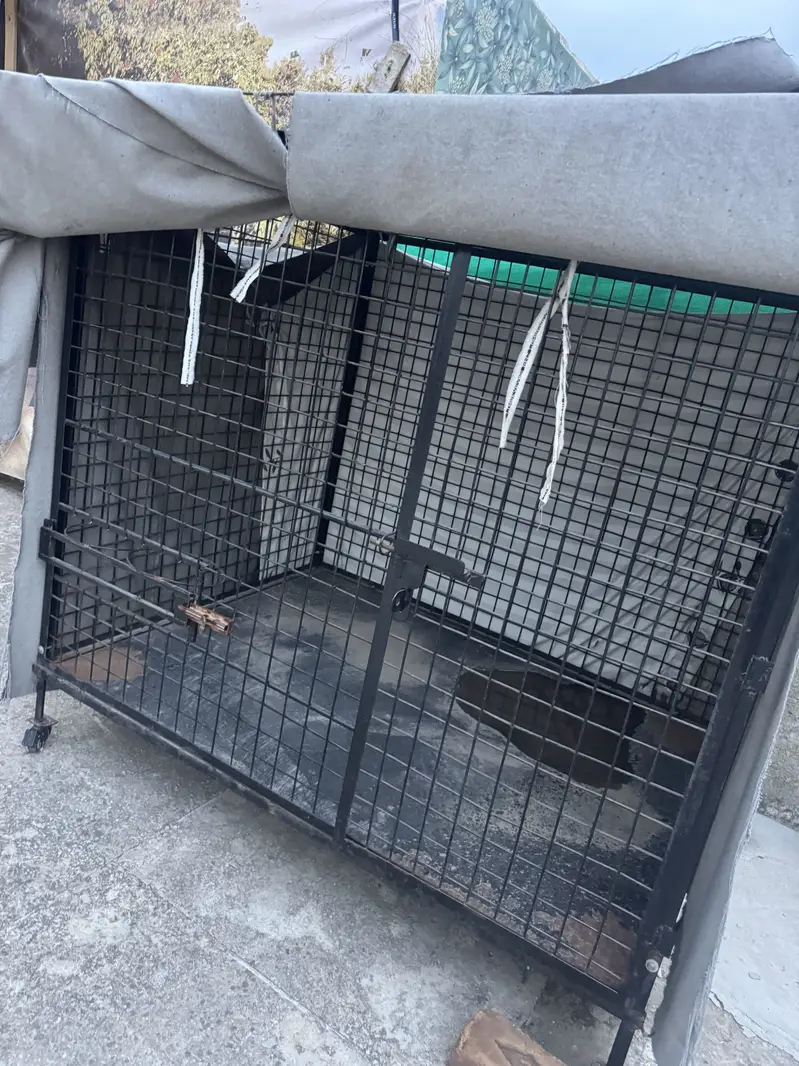 Dog Cage for Sale Strong Build with Tarpal Cover — photo 2