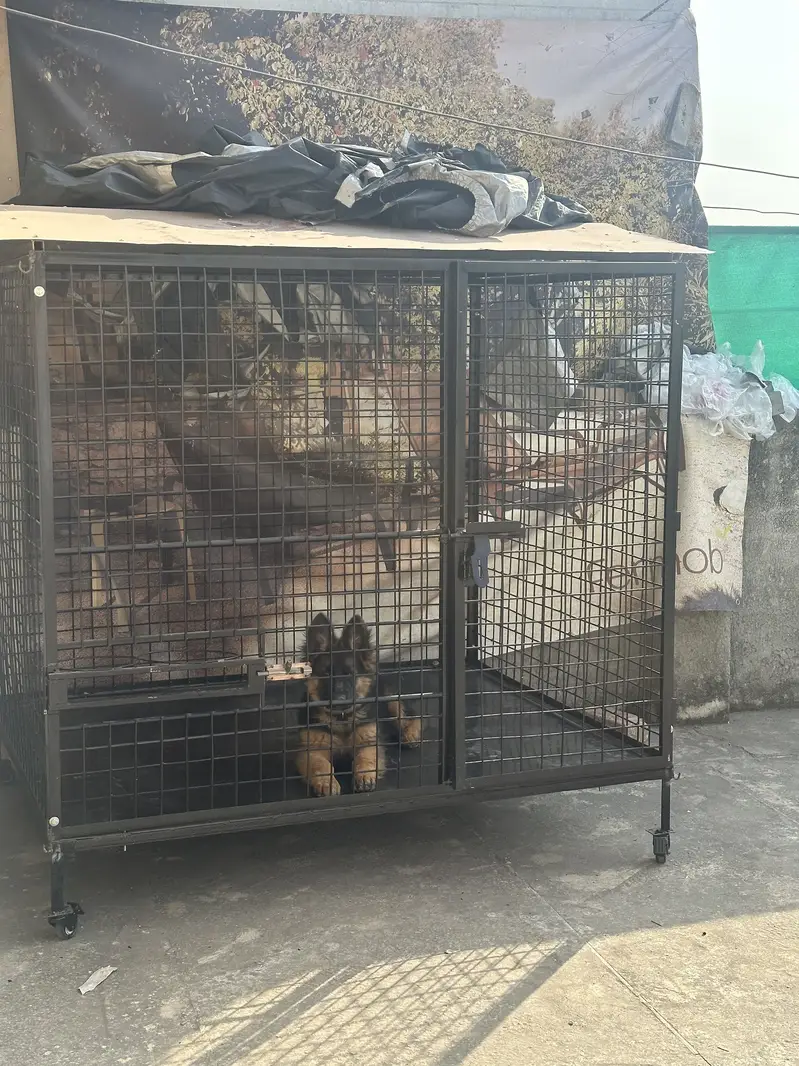 Dog Cage for Sale Strong Build with Tarpal Cover — photo 3