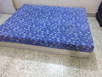 112211  Master molty foam blue