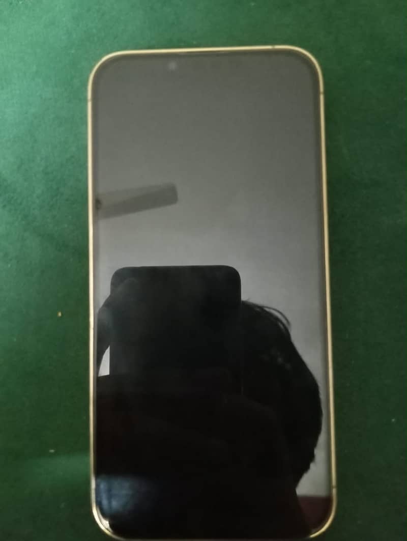Apple iPhone 13 Pro 1