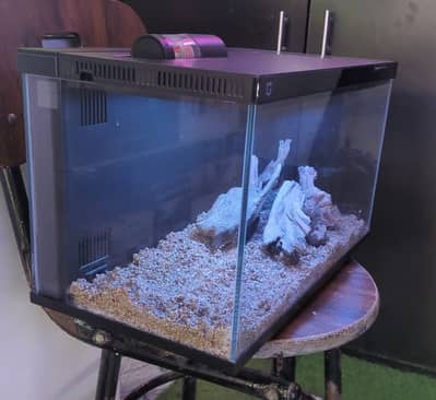 Gold Fishes and MI Fish Tank