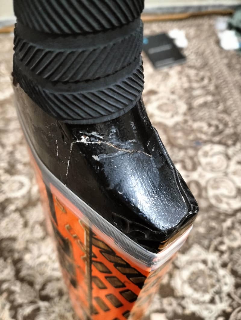 Cricket Bat US 2