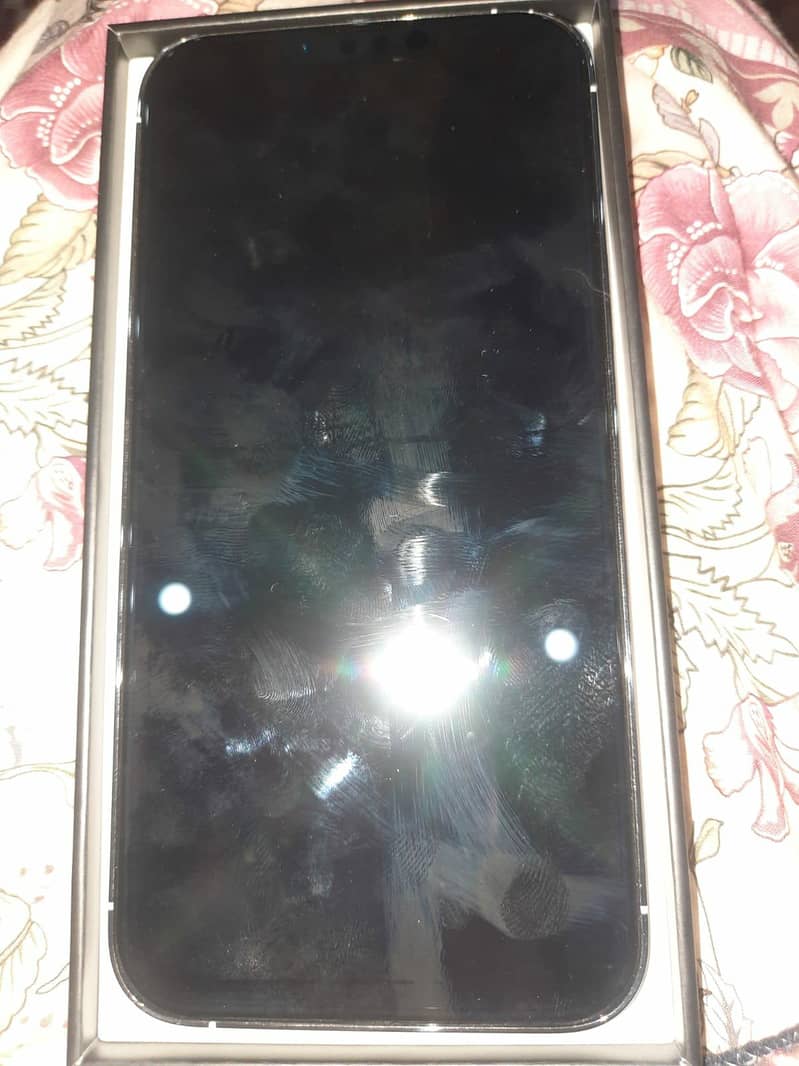 Apple iPhone 13 Pro Max 7