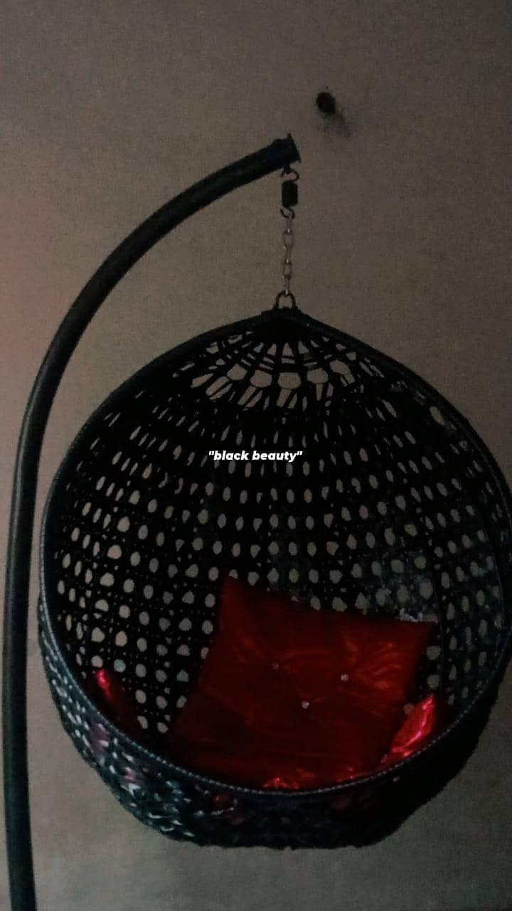 Bubble Swing Chair 0