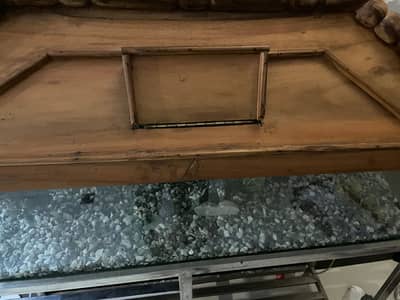 aquarium with steel stand