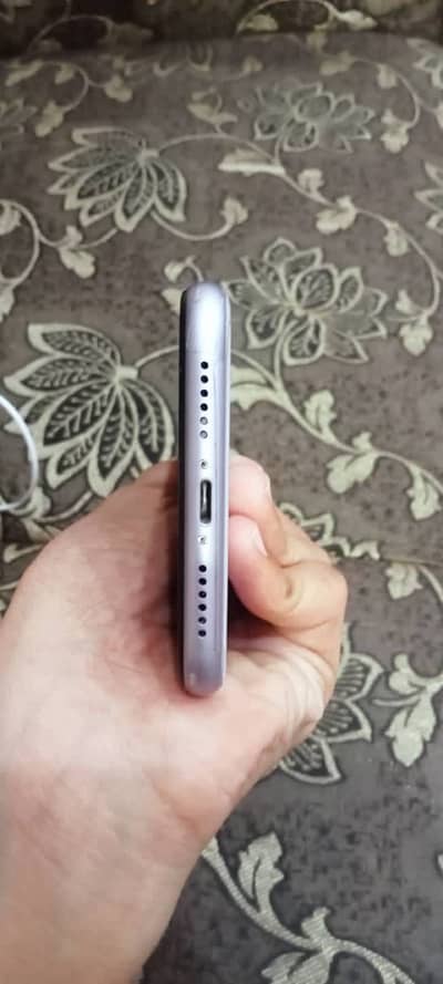 Apple iPhone 11.03254820295 contact bonnet