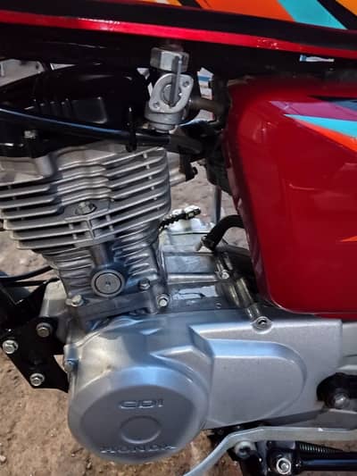 Honda 125 25/26