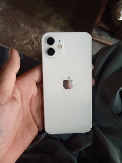 Iphone 12 64 Gb 79% battery health  10 / 10 condition