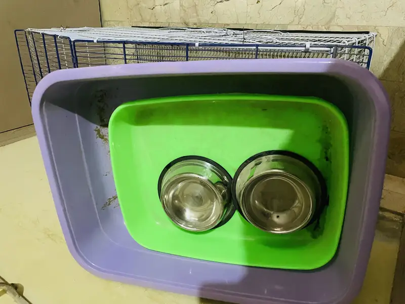 New pet cage with 2 litr box and 2 food bowl condition 10/10 — photo 4