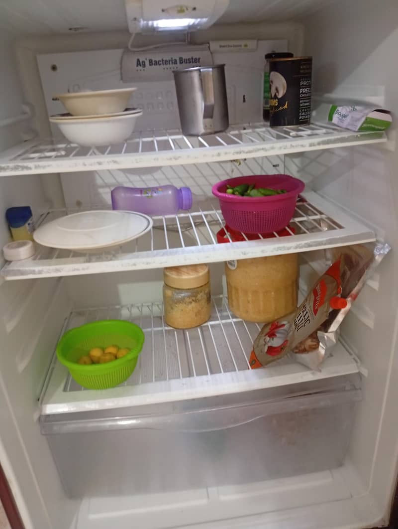PEL Fridge 2