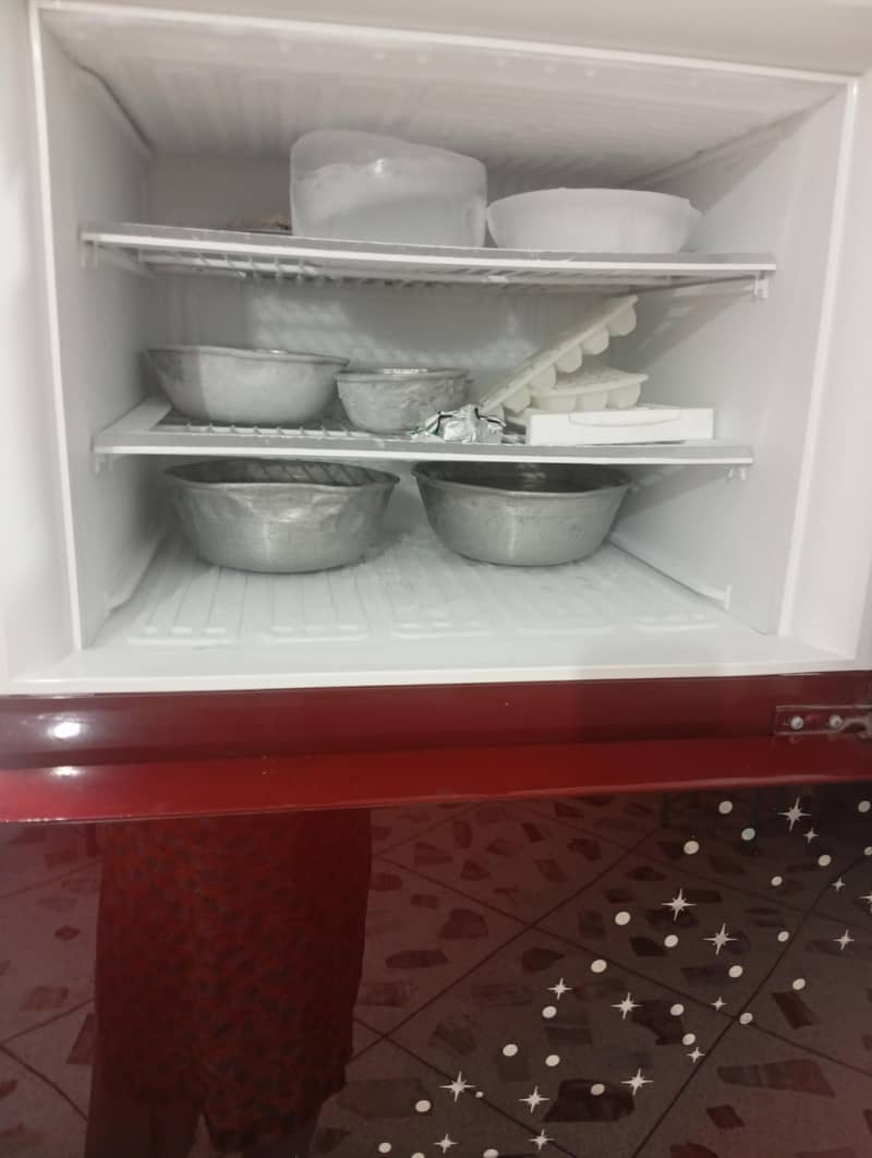 PEL Fridge 3