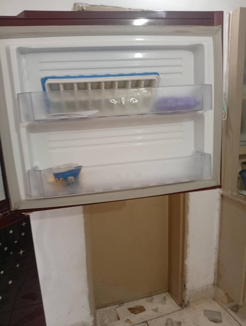 PEL Fridge 4
