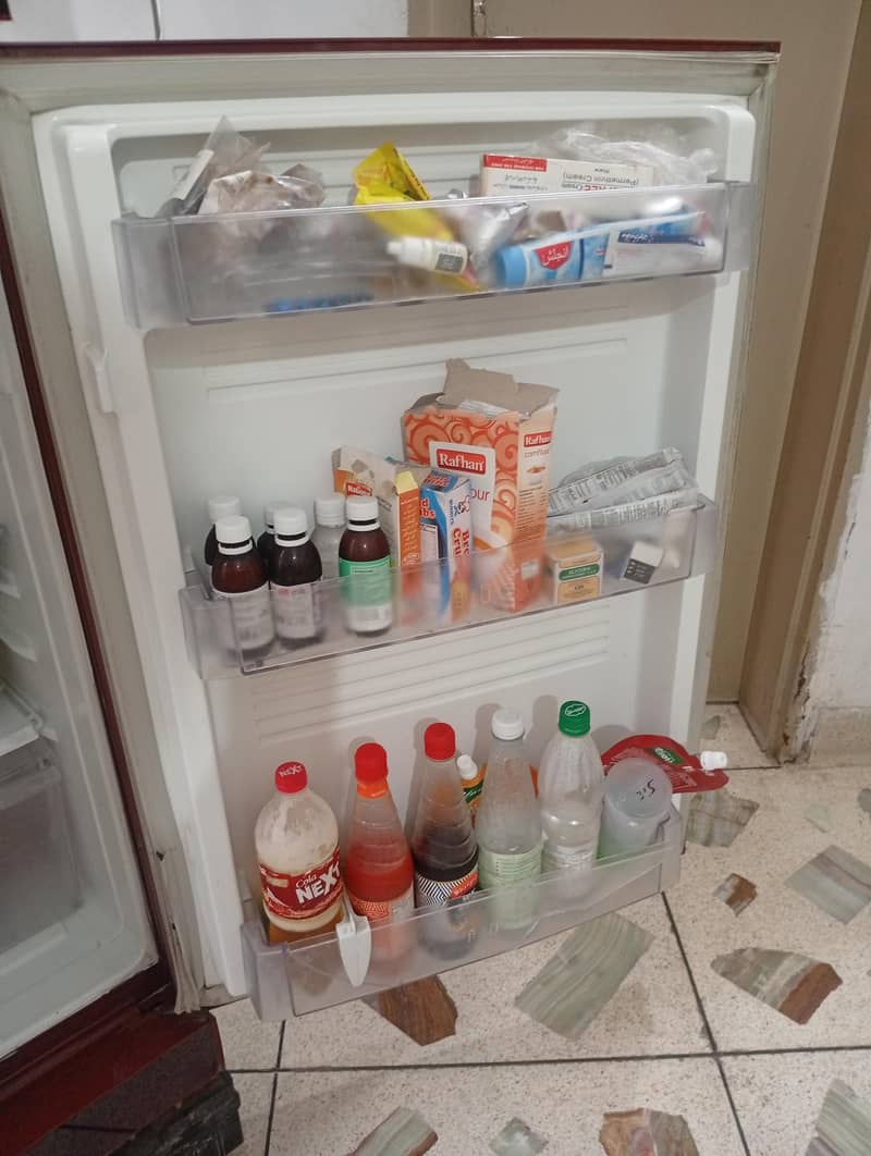 PEL Fridge 5