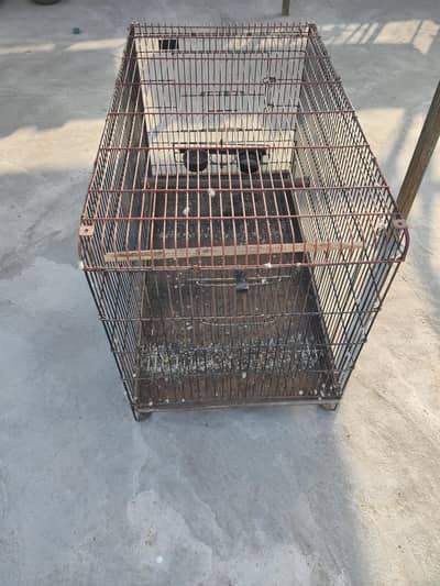 cage for parrot cage for birds
