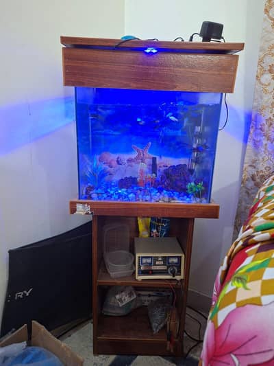 Molly fish with aquarium