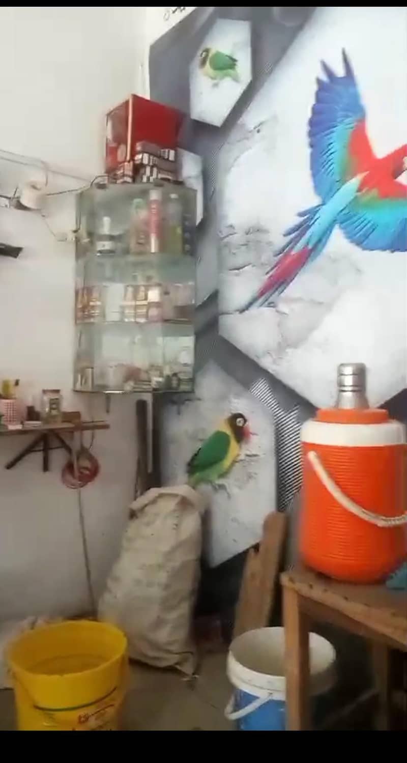 ہئیر ڈریسر شاپ کا مکمل سامان 1