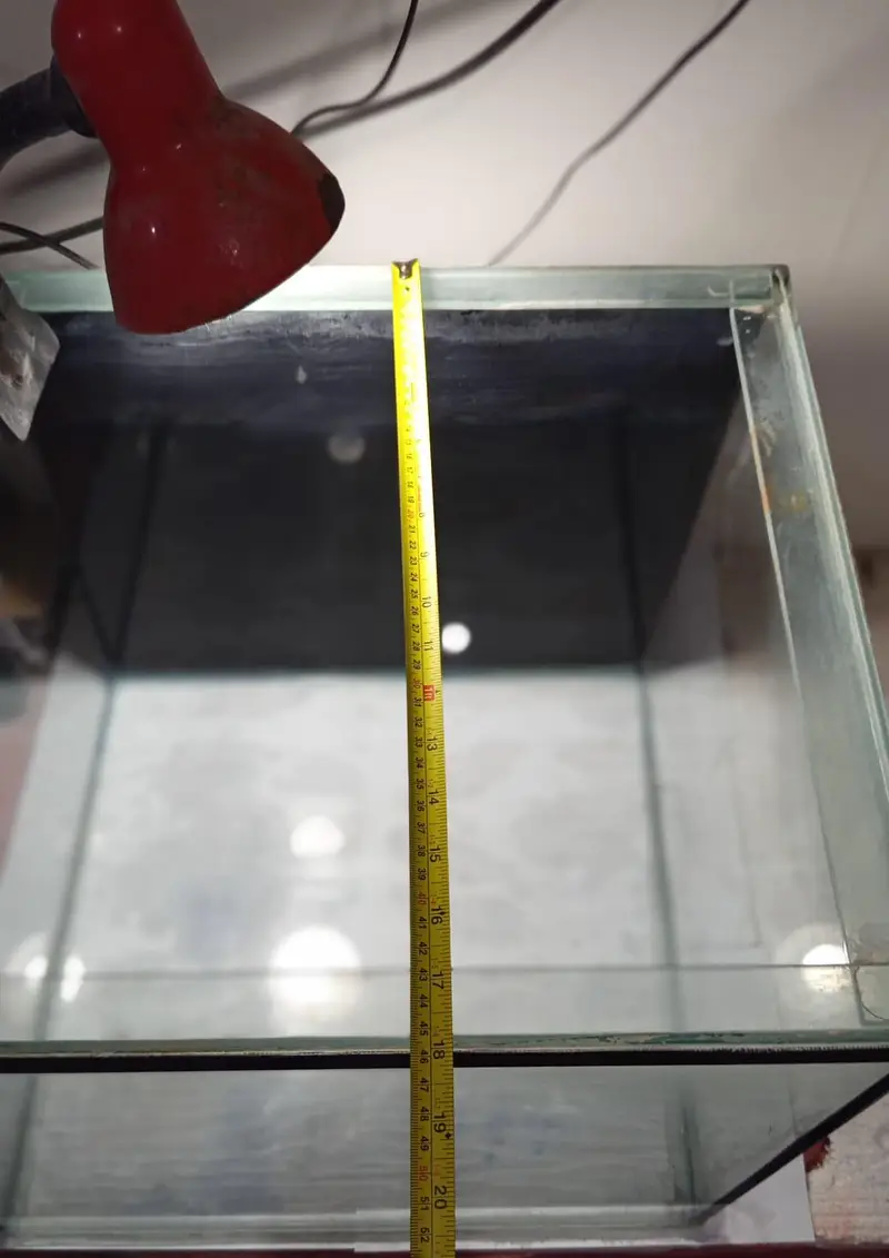 25gallom huge aquarium available for sale — photo 2