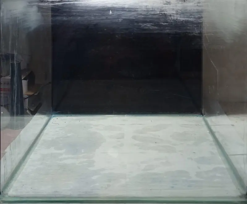 25gallom huge aquarium available for sale — photo 3