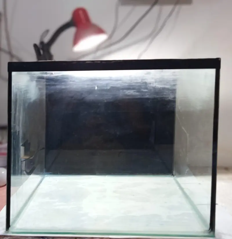 25gallom huge aquarium available for sale — photo 4