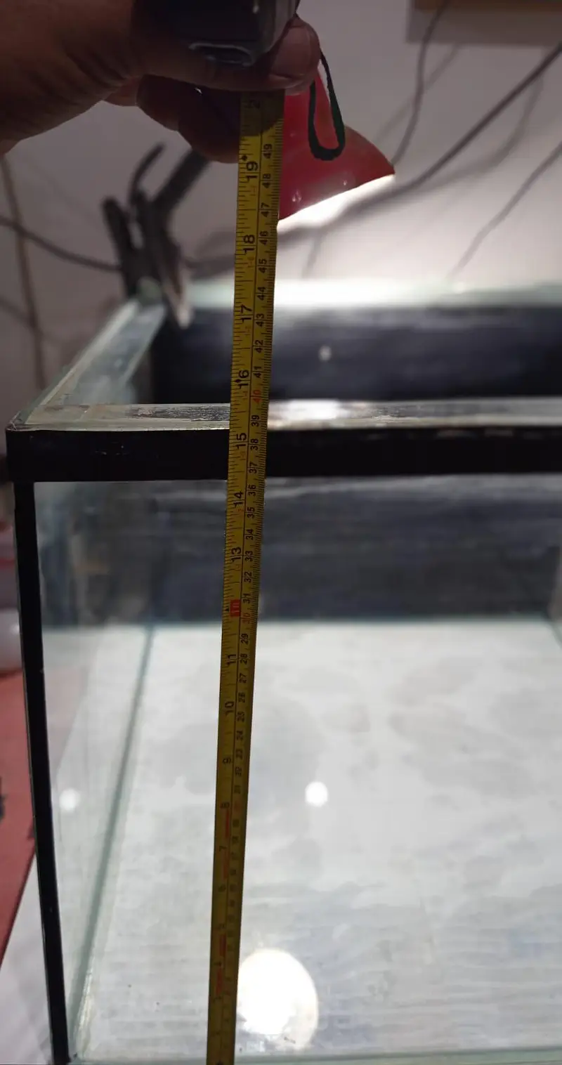 25gallom huge aquarium available for sale — photo 5