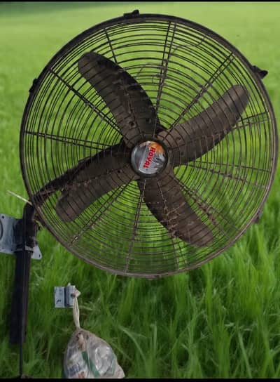 ROYAL 24" HEAVY DUTY WALL FAN