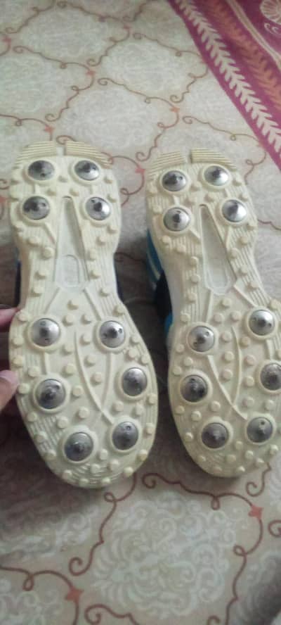 ca big bang spikes for sale
