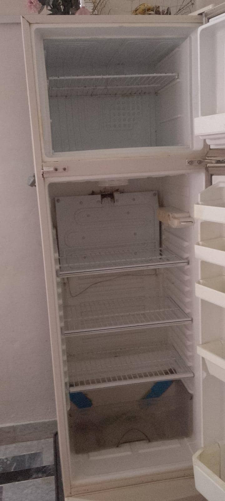 fridge 1