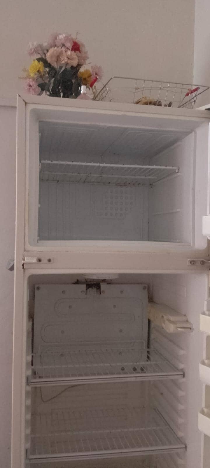 fridge 2