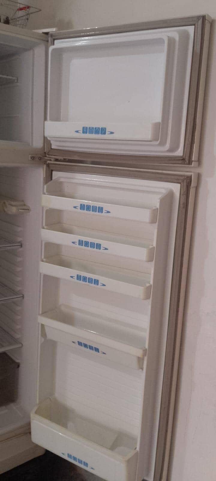 fridge 3