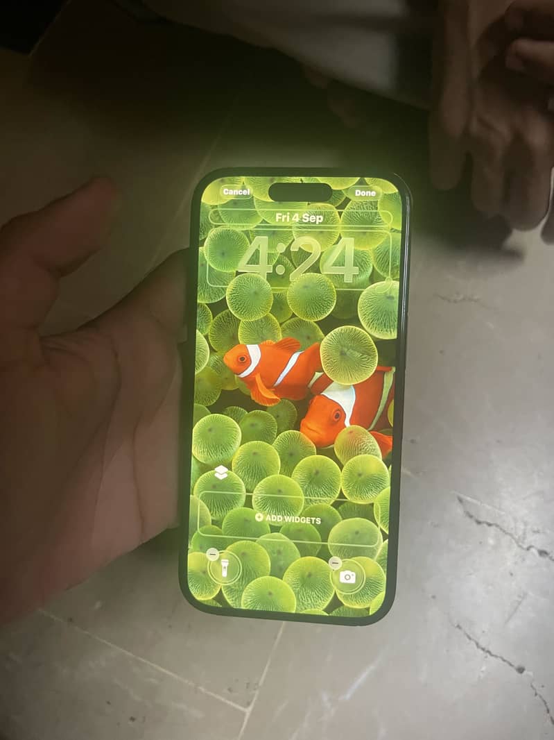 Apple iPhone 16 5