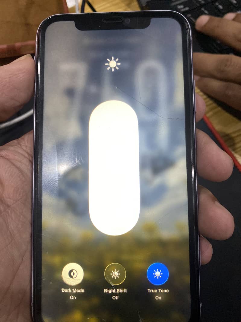 Apple iPhone 11 3