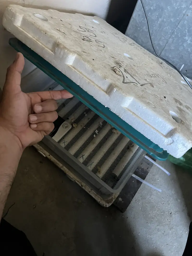 Slightly used Incubator & Brooder up for sale — photo 5
